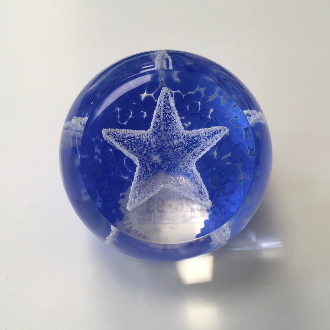 Special Moments Paperweight - Star